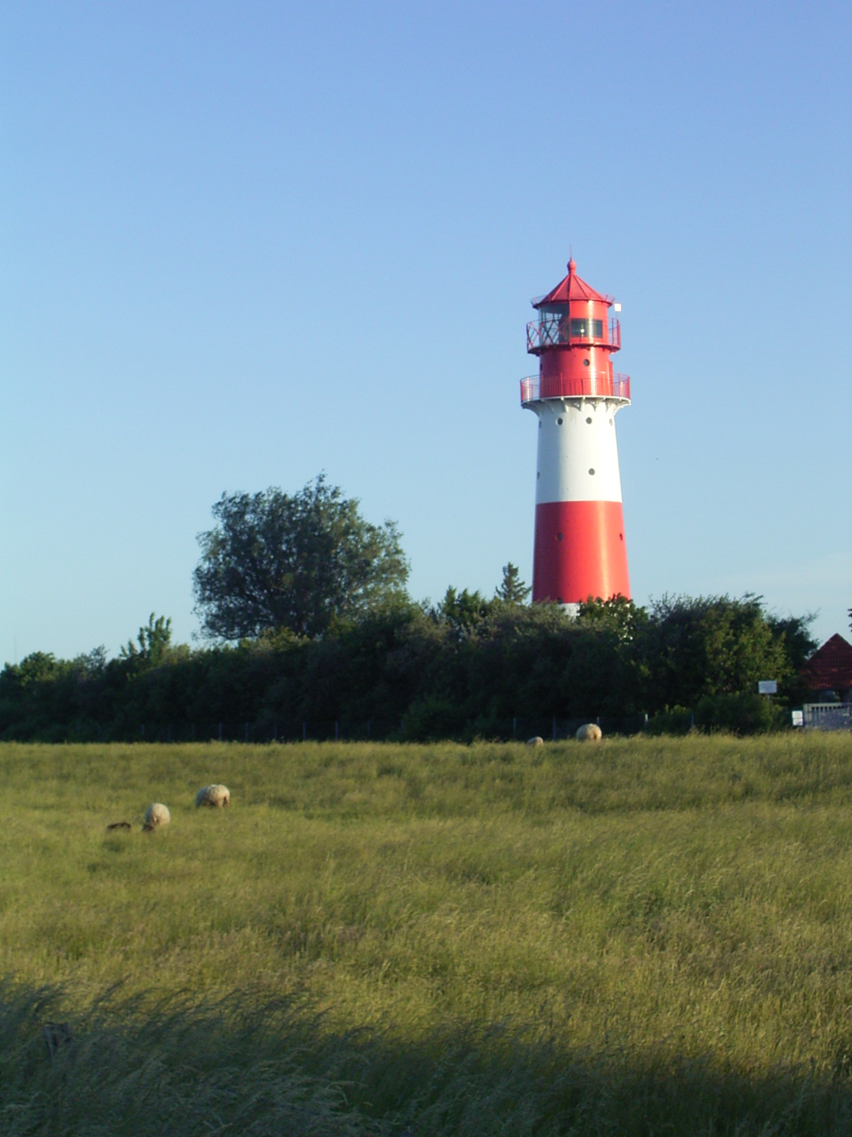 der Leuchtturm Falshöft nah am Strand der Ostsee