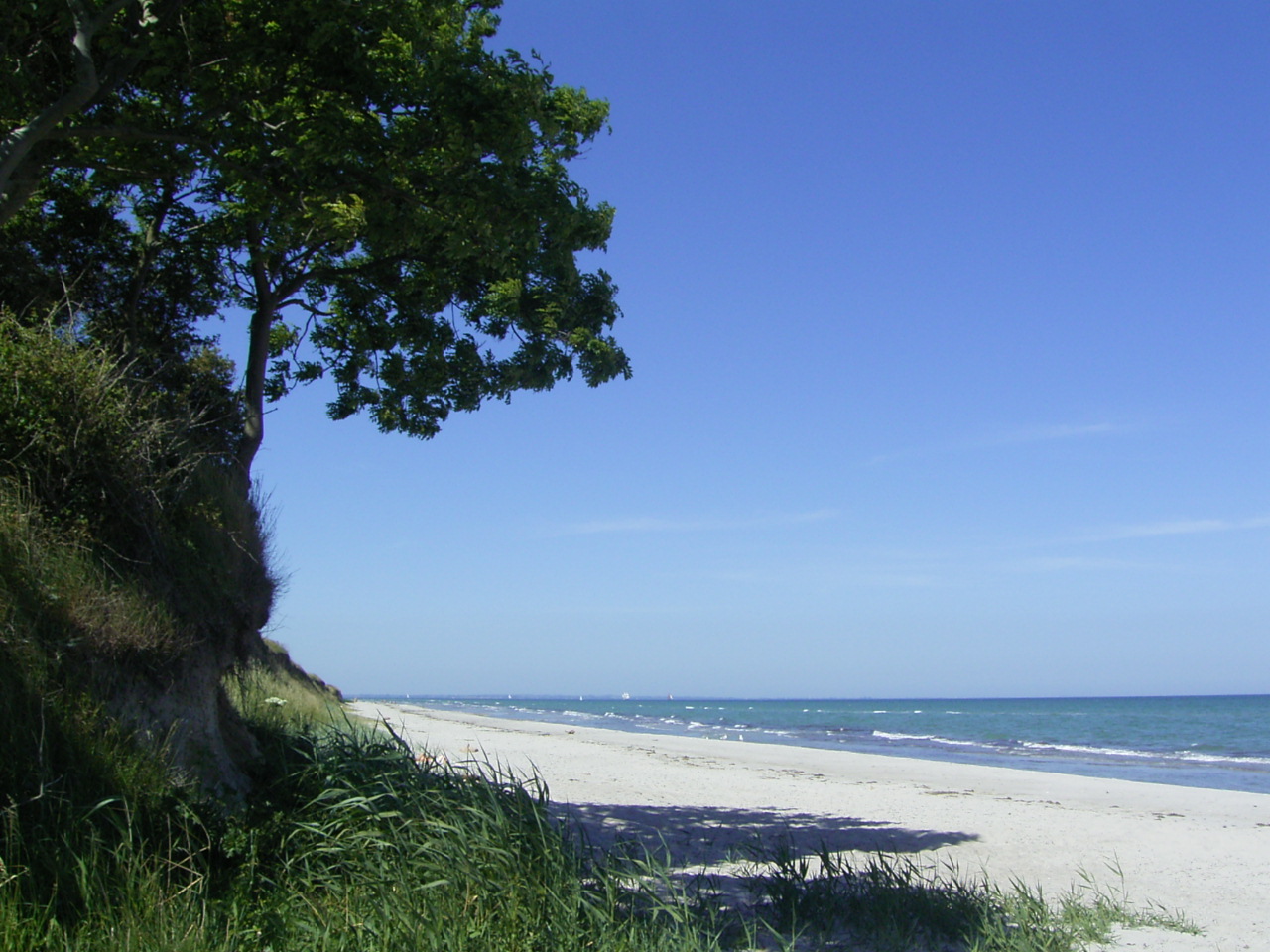 Ostseeurlaub in Kronsgaard am Strand bei Kappeln an der Schlei